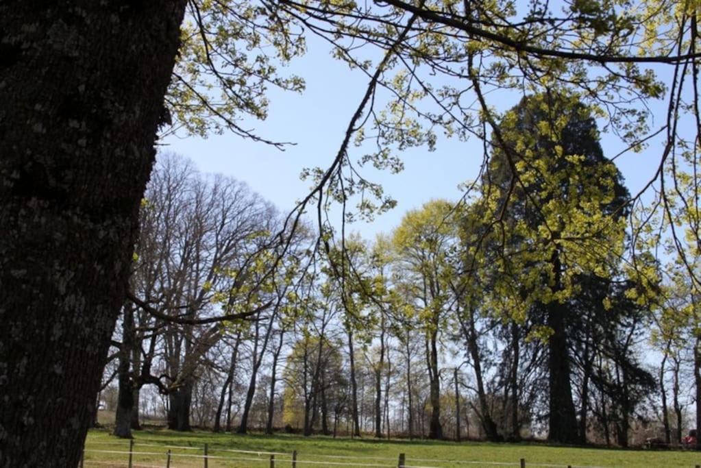 Les Gites De Recoleine Nébouzat Exterior foto